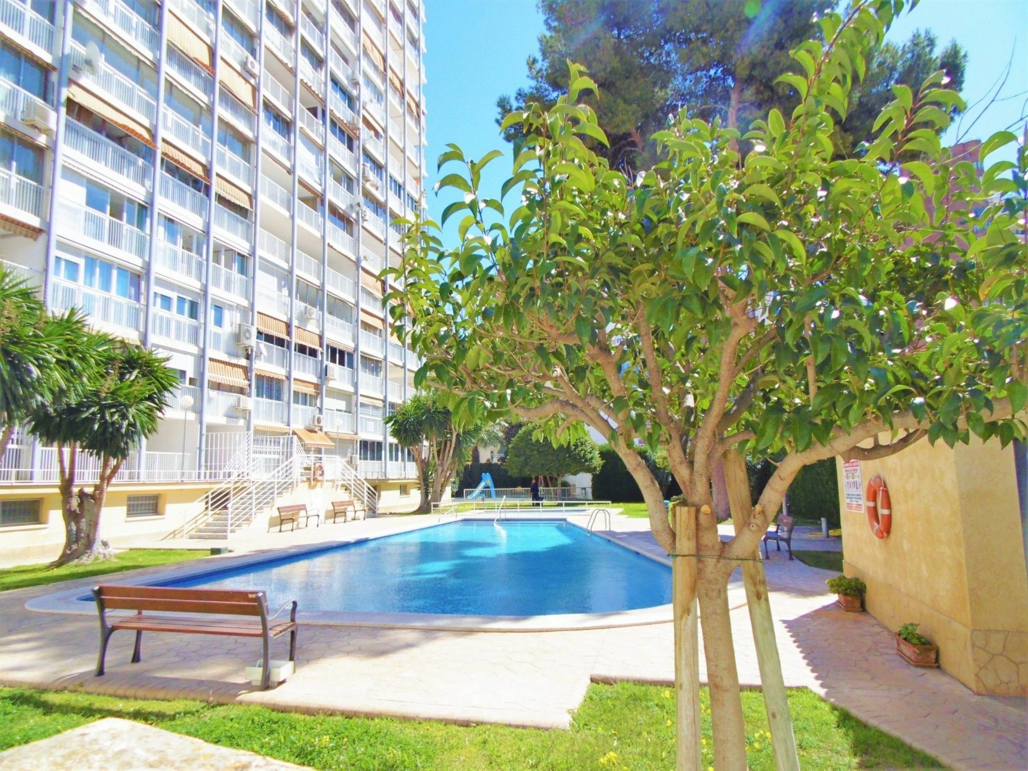 Apartmán Albatros 11-5 Benidorm Exteriér fotografie